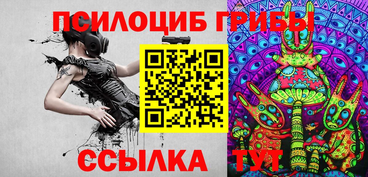 где можно купить   Псилоцибиновые грибы Psilocybine cubensis  Вход с VPN  Кострома 